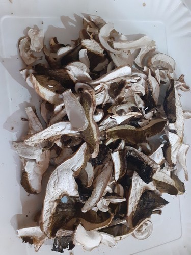 Funghi porcini secchi - funghi, 100gr