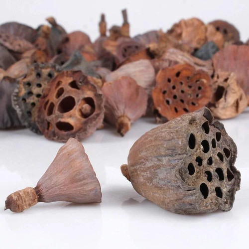 Piccole mini cialde testa - testa, di