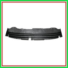 Assorbitore Paraurti Anteriore