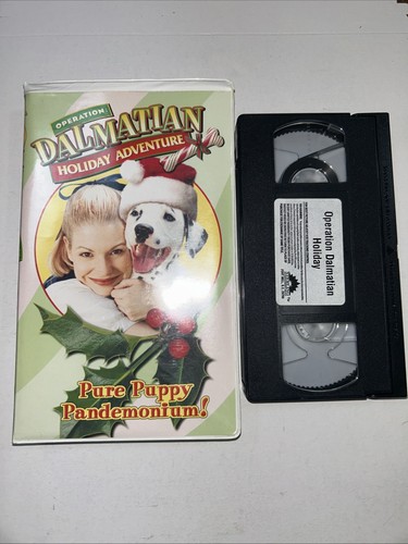 Operation dalmatian holiday - operation,