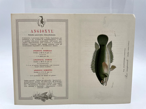 Stampa propagantistica - stampa,