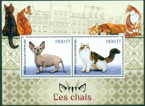 Gatti 2018 valori animali - gatti, 2