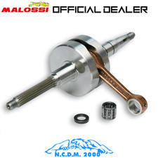 538008 ALBERO MOTORE MALOSSI