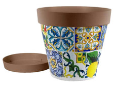 VASO PIANTE GRASSE FIORI SEMI VIVAI PLASTICA SOTTOVASO SICILIA MEDITERANEO 26*23