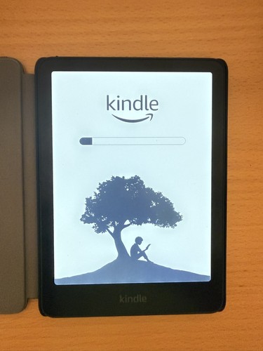 Kindle paperwhite 12ª - kindle,