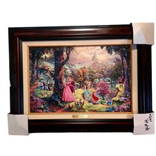 Thomas Kinkaid collezione sogni disney bellezza addormentata 12 X 18 nuovo 13/72