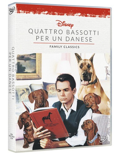 Bassotti per danese - un,