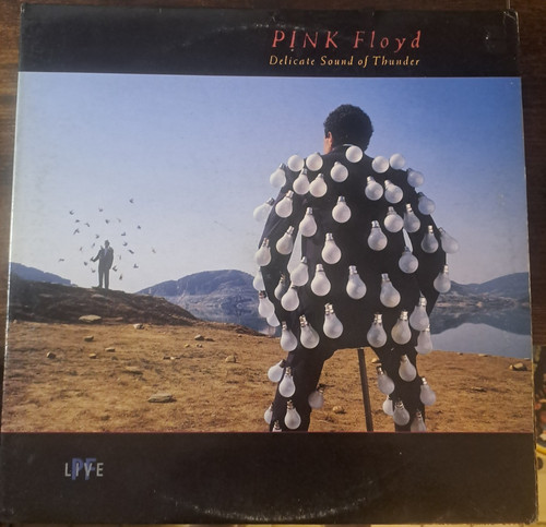 Pink floyd delicate sound - pink,