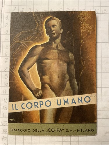 Corpo umano omaggio fa - corpo,