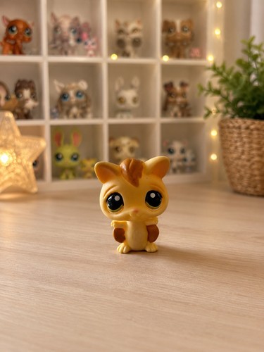Pet shop chauve souris 990 - shop, #990