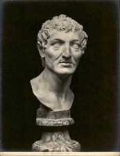 GA241 foto sottobosco