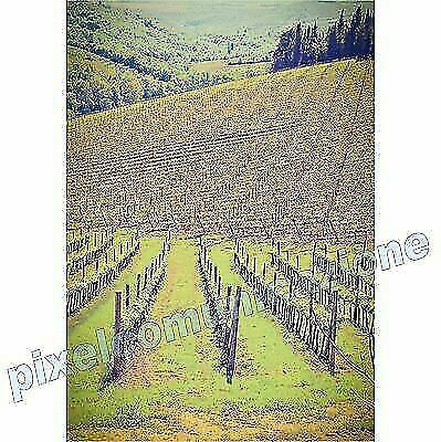 Quadri moderni poster - quadri,