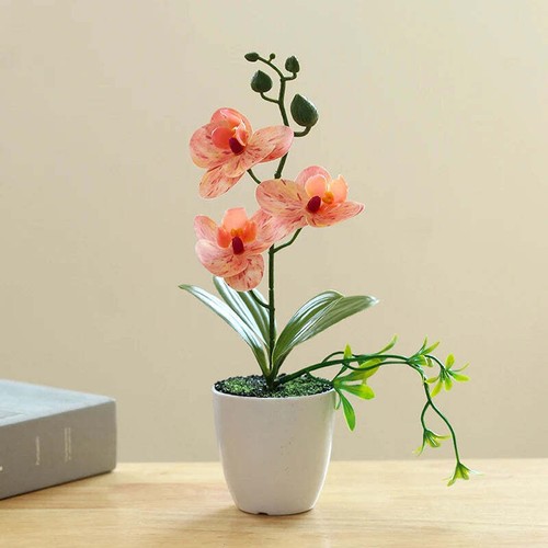 Decassa orchidea - decassa™,