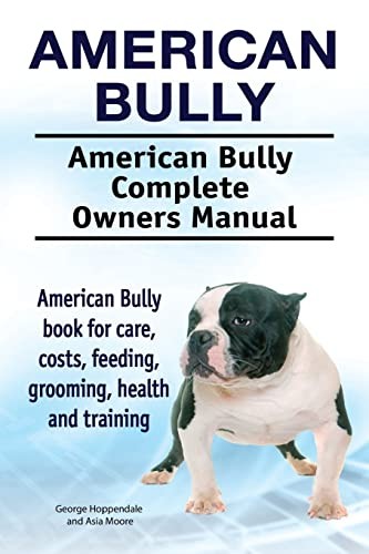 American bully - american, bully.