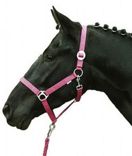 Capezza per cavalli con