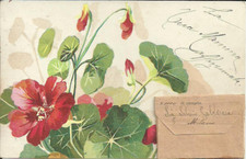 Cartolina valigetta telegramma