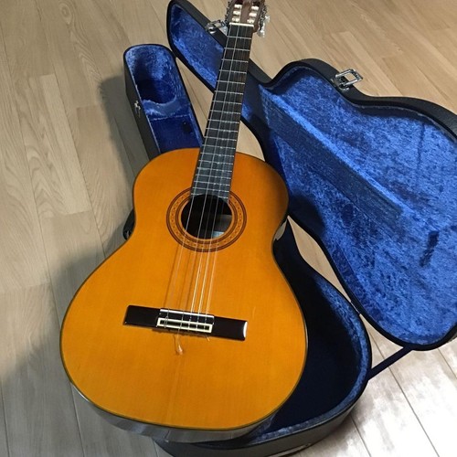 Chitarra concerto aria - concerto,