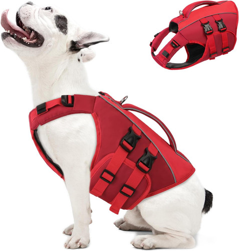 Qeenmore salvagente cane - qeenmore,