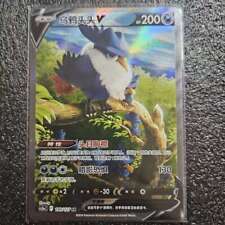 Carta Pokemon PTCG S-Chinese