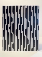 PELLICOLA POLAROID IMPOSSIBLE