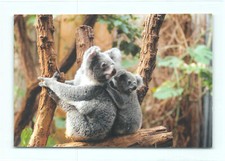 1 Cartolina Postale Bustina