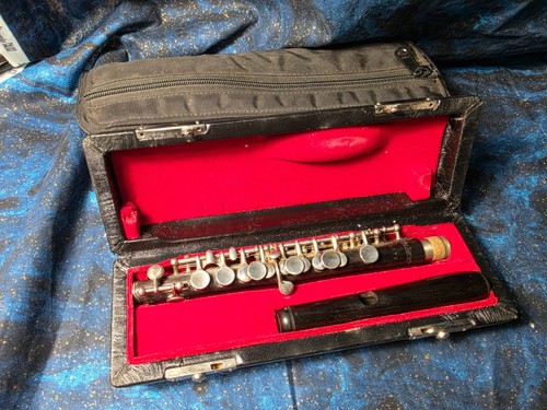 Orchestra professionale