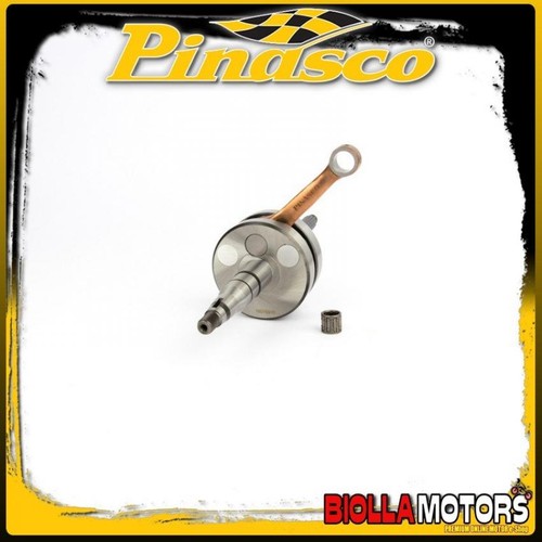10080806 albero motore - 10080806,