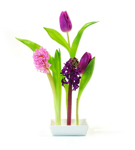 Vaso design - design, a