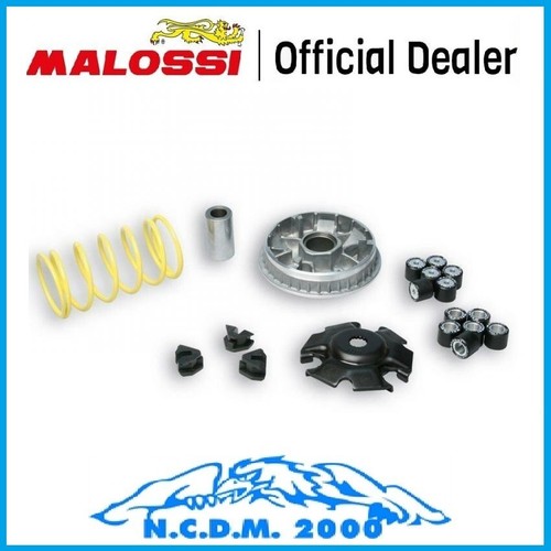 Variatore malossi multivar - malossi,