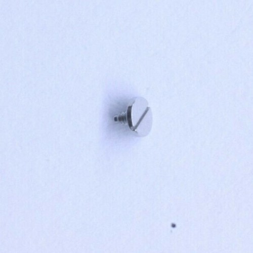 Rolex 3135 5625 screw for - rolex, date