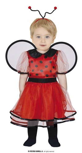 Costume coccinella carnevale - costume,