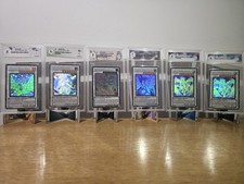 Drago Polvere di Stelle,drago Rosa Nera,Antico Drago Fatato,Arcidemone 