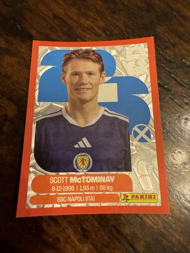 2026 panini fifa world cup - panini,