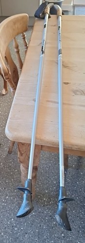 exel nordic walking
