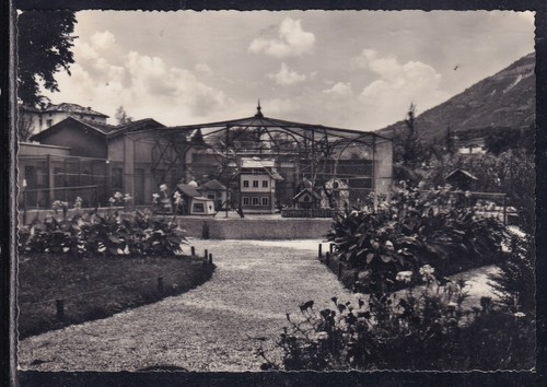 Cartolina pedavena birreria - cartolina,