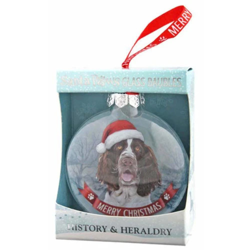 Brown springer spaniel - springer,