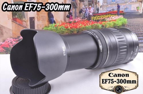 Teleobiettivo zoom canon - zoom,