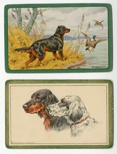 GORDON SETTER  TWO VINTAGE
