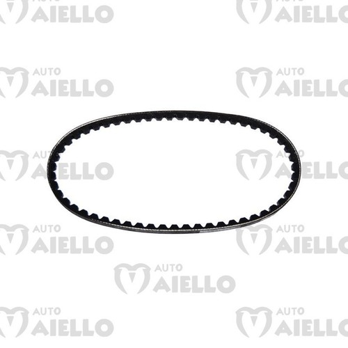 Cinghia alternatore 10x600