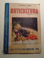 A. Calzecchi - Onesti -