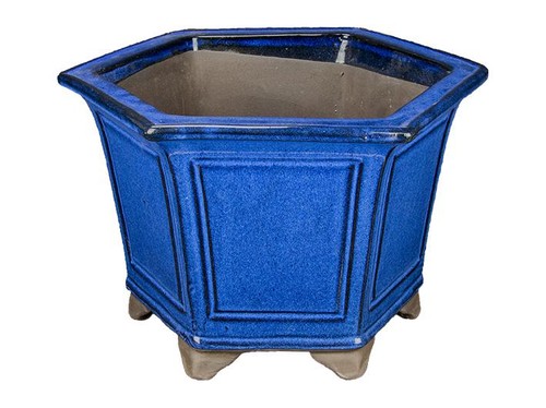 Vaso per bonsai - , esagonale