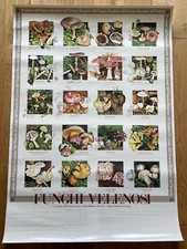 FUNGHI VELENOSI  STAMPA/POSTER VINTAGE