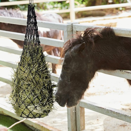 Horse hay net bag feeding - hay,