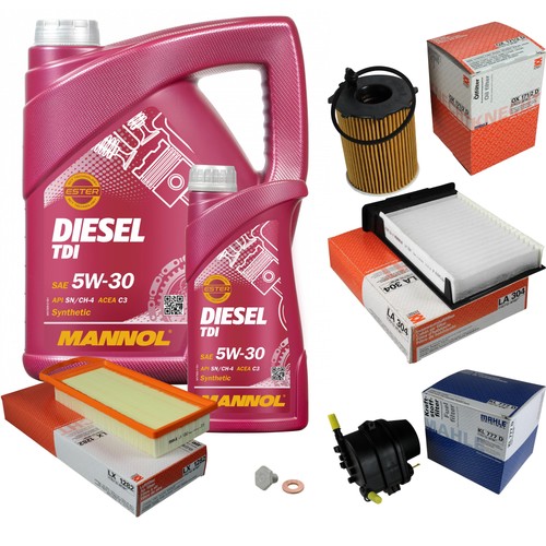 Pacchetto ispezione mahle - pacchetto,
