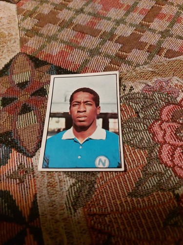 Figurina panini calciatori - figurina,