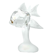 Pesce scalare Preciosa #074980