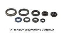 ATHENA KIT PARAOLI MOTORE KTM