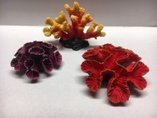 Acquario Corallo Reef