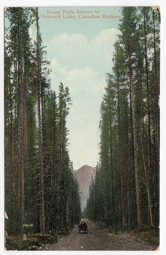 Snow peak avenue emerald - snow,