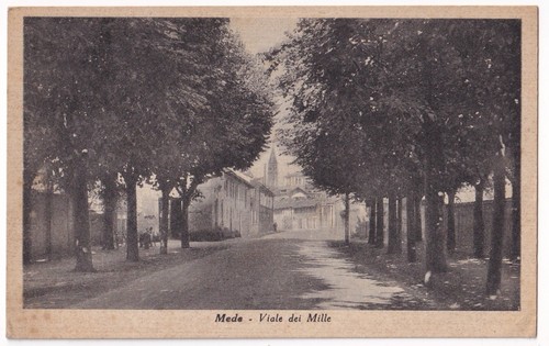 P04063 cartolina mede - p04063,